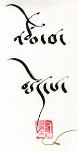 P.Tsering Gewaltlosigkeit