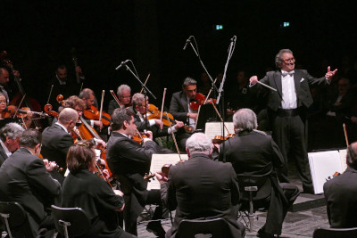 Roma und Sinti Philharmoniker