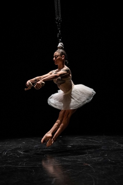 coppelia1 (c) Andrea Macchia