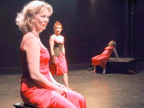 Ingeburg Amod, Gudrun Schnitzer, Corinna Maria Lechler