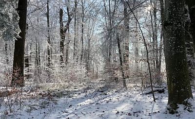 Winter, (c) Langhorst